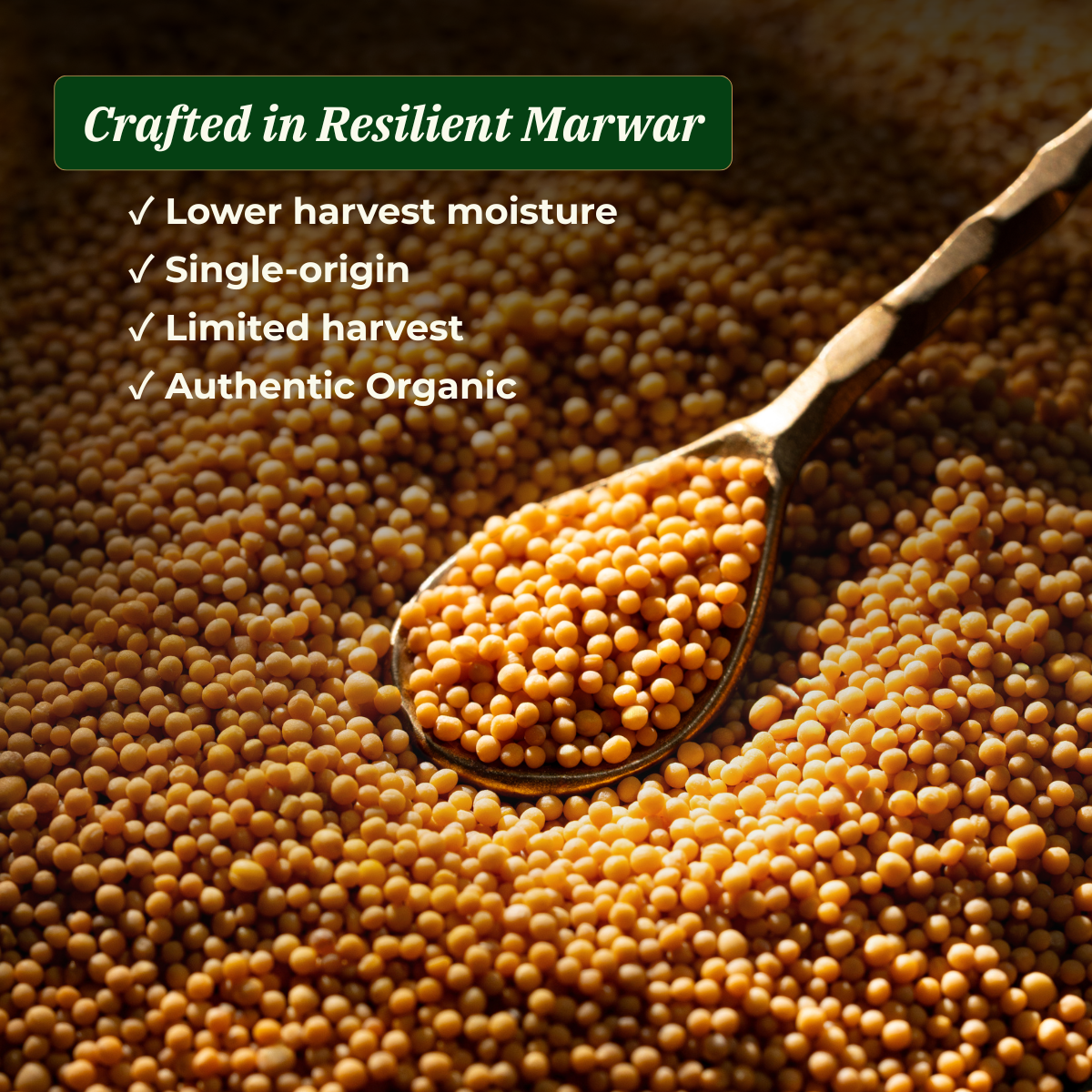 Yellow Mustard Oil